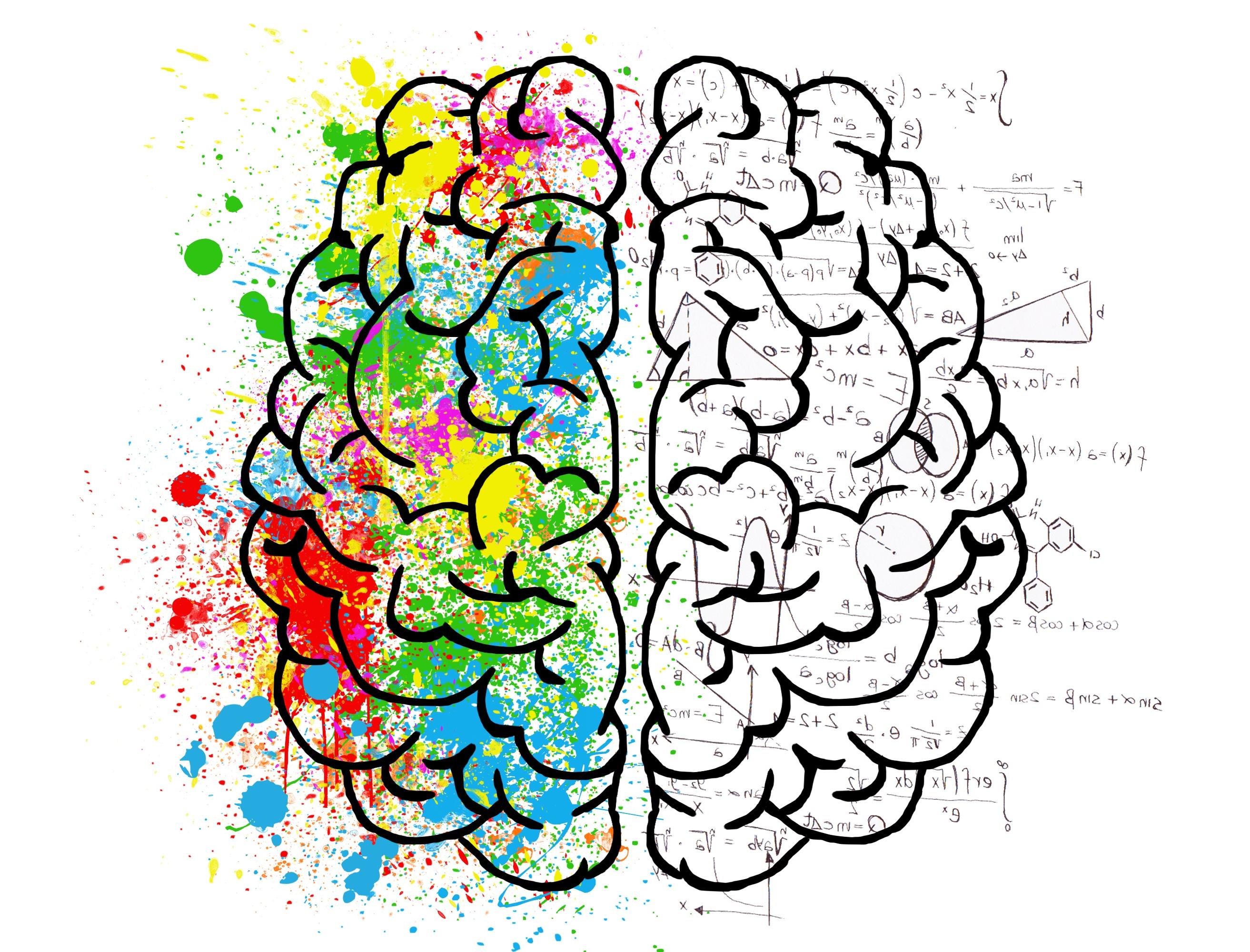 Artwork of two hemispheres of the brain