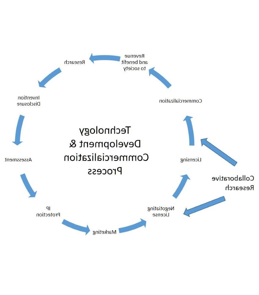 Chart depicting the licensing process. 